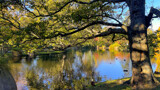 Autumn In The Park #1 by LynEve, photography->shorelines gallery