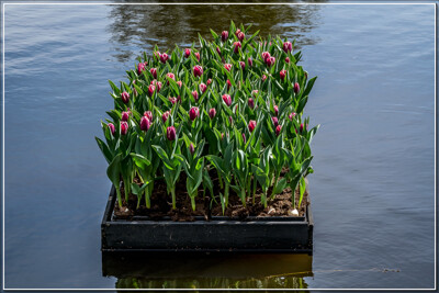 Click here to view at full resolution.