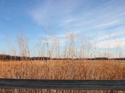 Click here to view at full resolution.