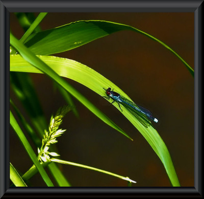 Click here to view at full resolution.