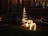 Christmas Lights by lilkittees, Holidays->Christmas gallery