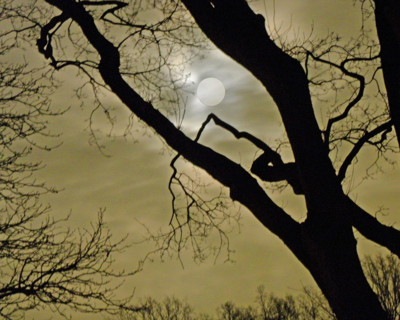 Click here to view at full resolution.