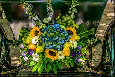 Click here to view at full resolution.