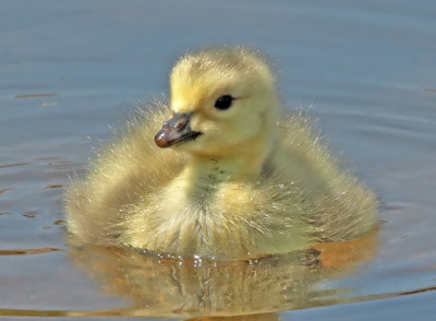 Click here to view at full resolution.