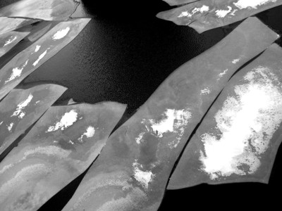 Click here to view at full resolution.