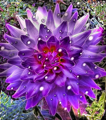 Click here to view at full resolution.