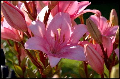Click here to view at full resolution.