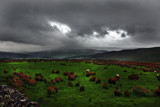 Storm brewing by biffobear, Photography->Landscape gallery