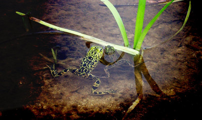 Click here to view at full resolution.