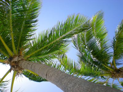 Click here to view at full resolution.