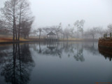 Foggy Day On Pond by RenieRenee, Photography->Landscape gallery
