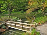 Fall Pruning by mrosin, photography->bridges gallery