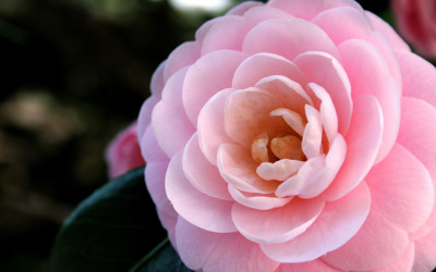 Click here to view at full resolution.