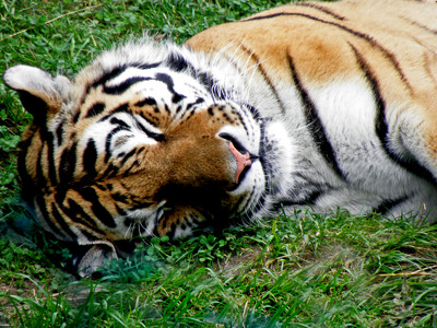 Click here to view at full resolution.