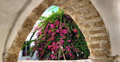 Click here to view at full resolution.