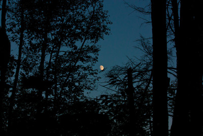 Click here to view at full resolution.