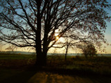 Autumn #3 by annie100, Photography->Landscape gallery