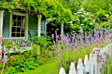 Akaroa Garden 5 by flanno2610, photography->gardens gallery