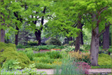 Park in Ful Bloom by Ramad, photography->gardens gallery