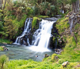 Waitangi Falls by slushie, photography->waterfalls gallery