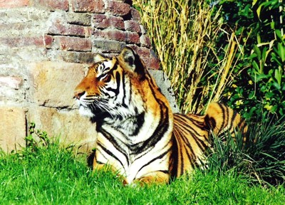 Click here to view at full resolution.