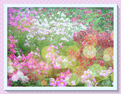 Click here to view at full resolution.