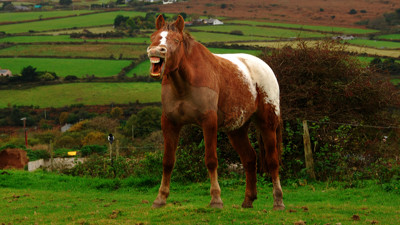 Click here to view at full resolution.