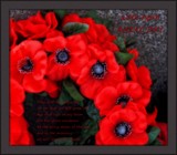 A N Z A C . . . . remembrance by LynEve, photography->general gallery