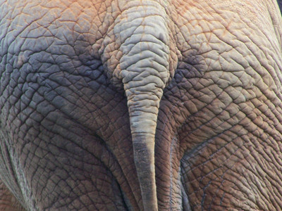 Click here to view at full resolution.