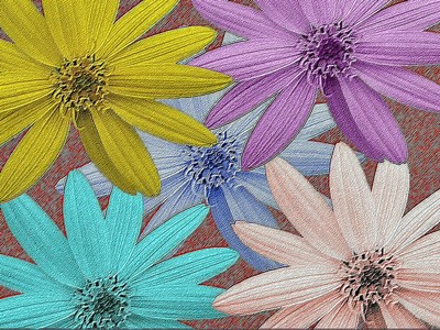 Click here to view at full resolution.