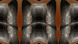 Bone Density by Flmngseabass, abstract gallery