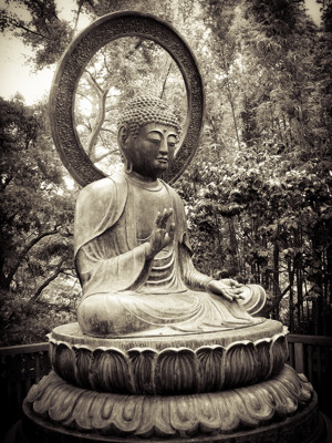 Click here to view at full resolution.