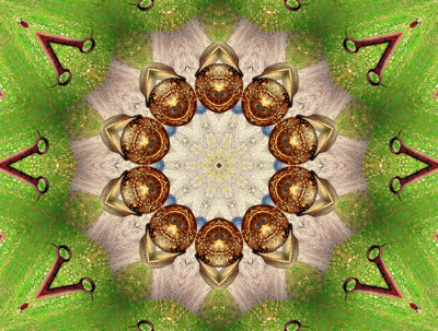 Click here to view at full resolution.