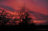 A View To Live For by vangoughs, Photography->Sunset/Rise gallery