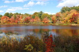 Autumn Cool 2 by Tomeast, photography->nature gallery