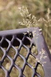 Park Bench by Ollivander, photography->nature gallery