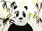 Panda Peek A Boo by bfrank, illustrations gallery