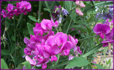 Click here to view at full resolution.