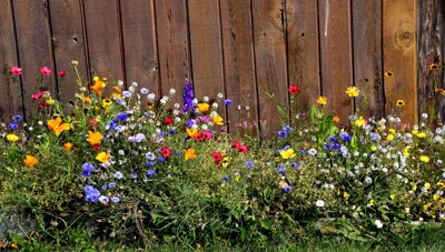 Click here to view at full resolution.