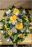 Gig Foofies 144 by corngrowth, photography->flowers gallery