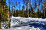 "What A Beautiful Day on the Hub Trail" by icedancer, photography->nature gallery