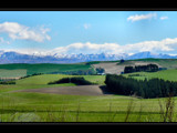 Winter White &amp; Spring Green by LynEve, Photography->Landscape gallery