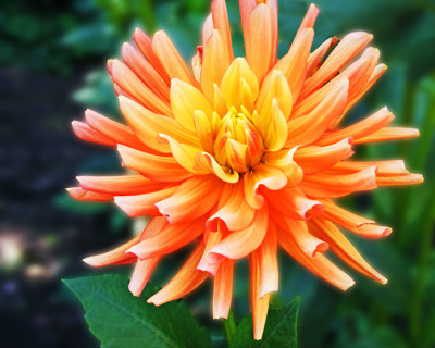 Click here to view at full resolution.