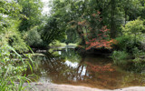 Quiet River by Tomeast, Photography->Nature gallery