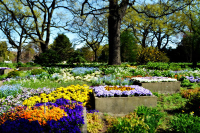 Click here to view at full resolution.