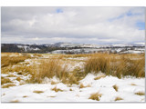 ginger ice....................... by fogz, Photography->Landscape gallery