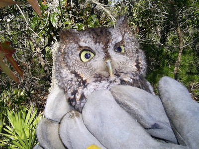 Click here to view at full resolution.