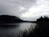 St Mary Lake,Salt Spring Island by stroud, Photography->Water gallery