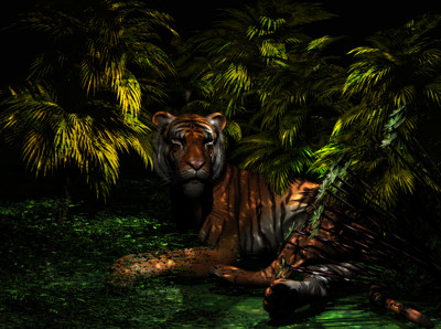 Click here to view at full resolution.