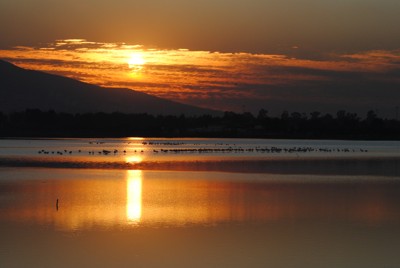 Click here to view at full resolution.